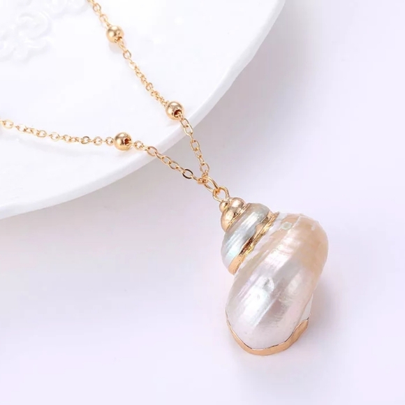 Bohemian Seashell Choker Necklace - Picture 2 of 4